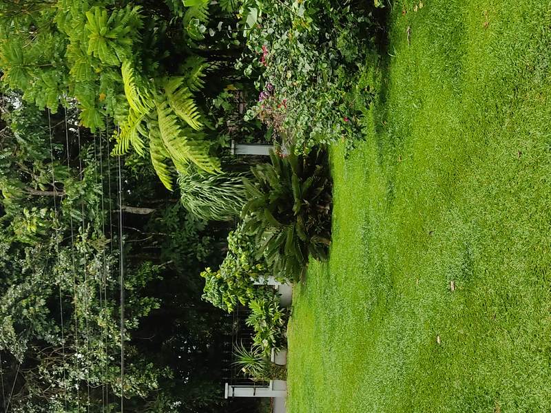 Luxury Homes For Sale La Fortuna Costa Rica Real Estate Condos